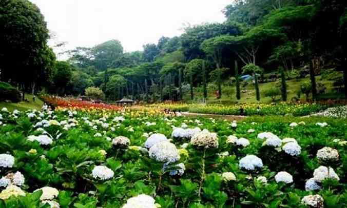 gunung desa