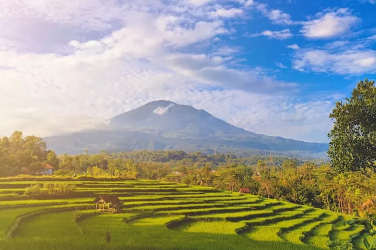 Pemandangan Kertahayu