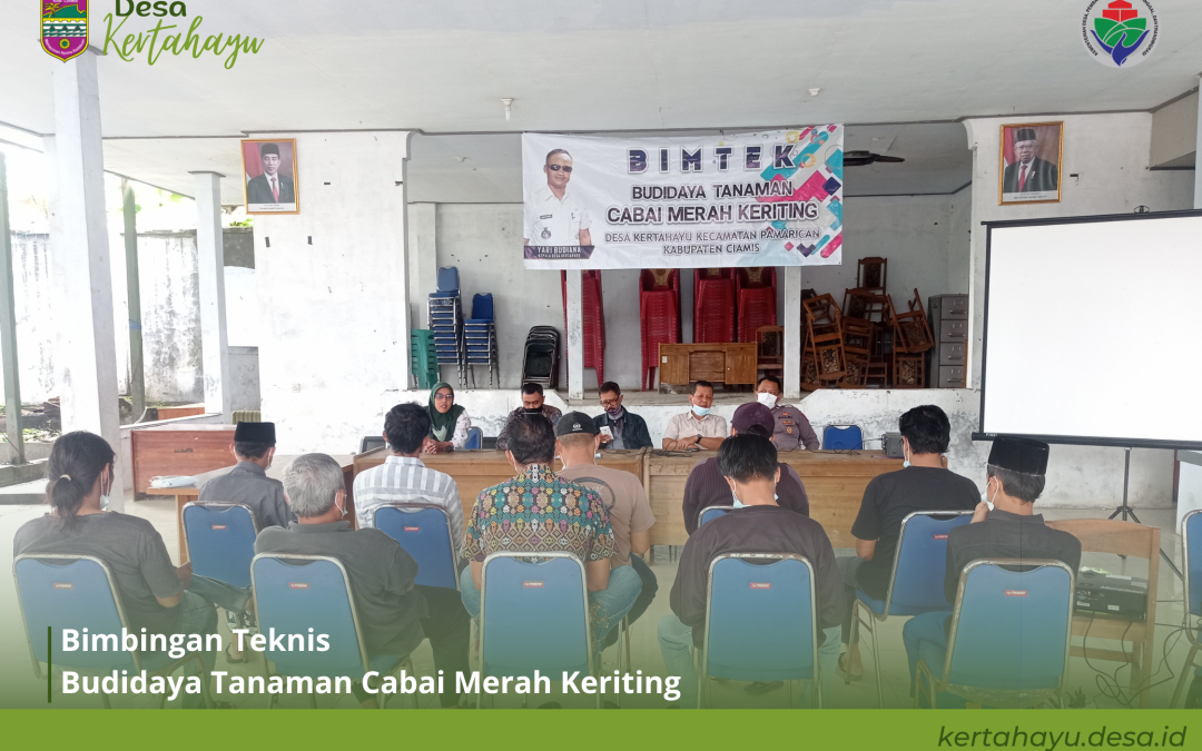 Generasi Milenial di Kertahayu Siap Bertani Cabai