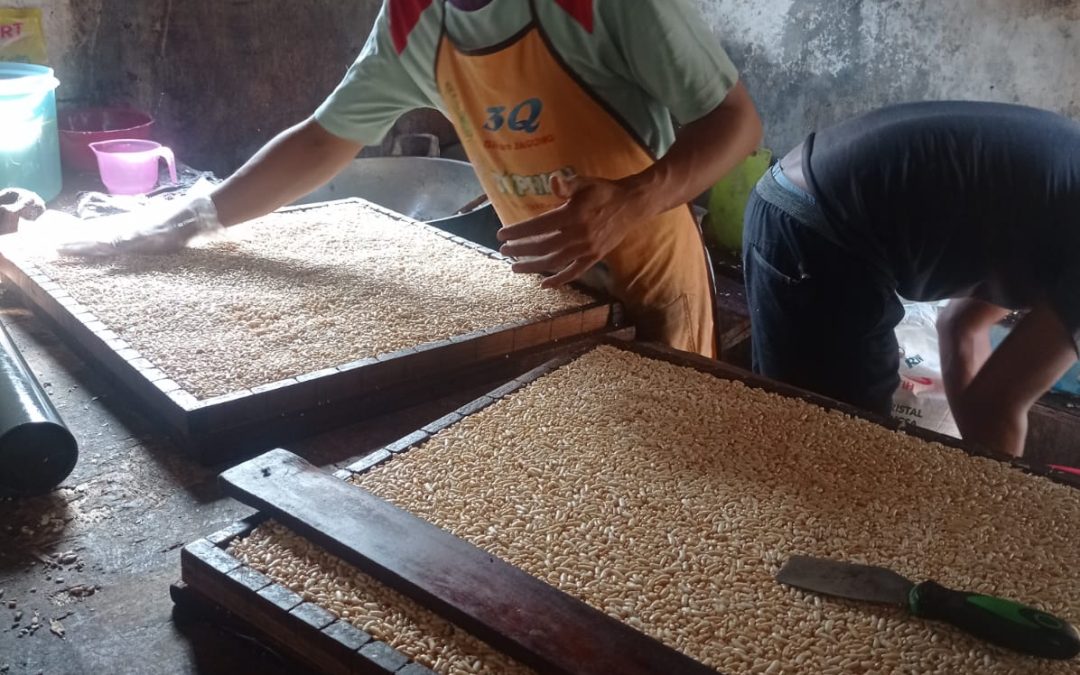 Tengteng Ketan menjadi Pilihan Oleh-oleh Dari Kertahayu.